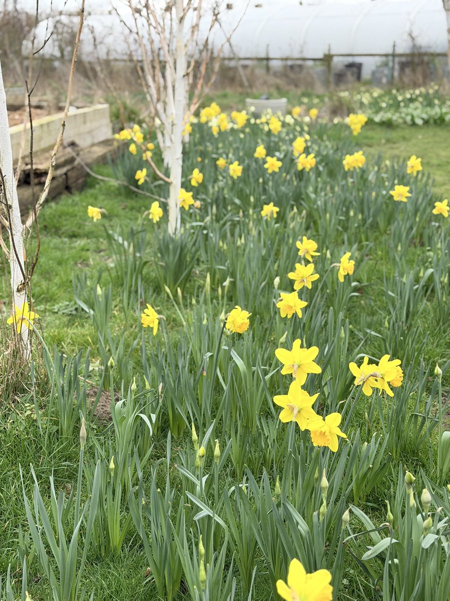 Jonathan Sheppard tweet media