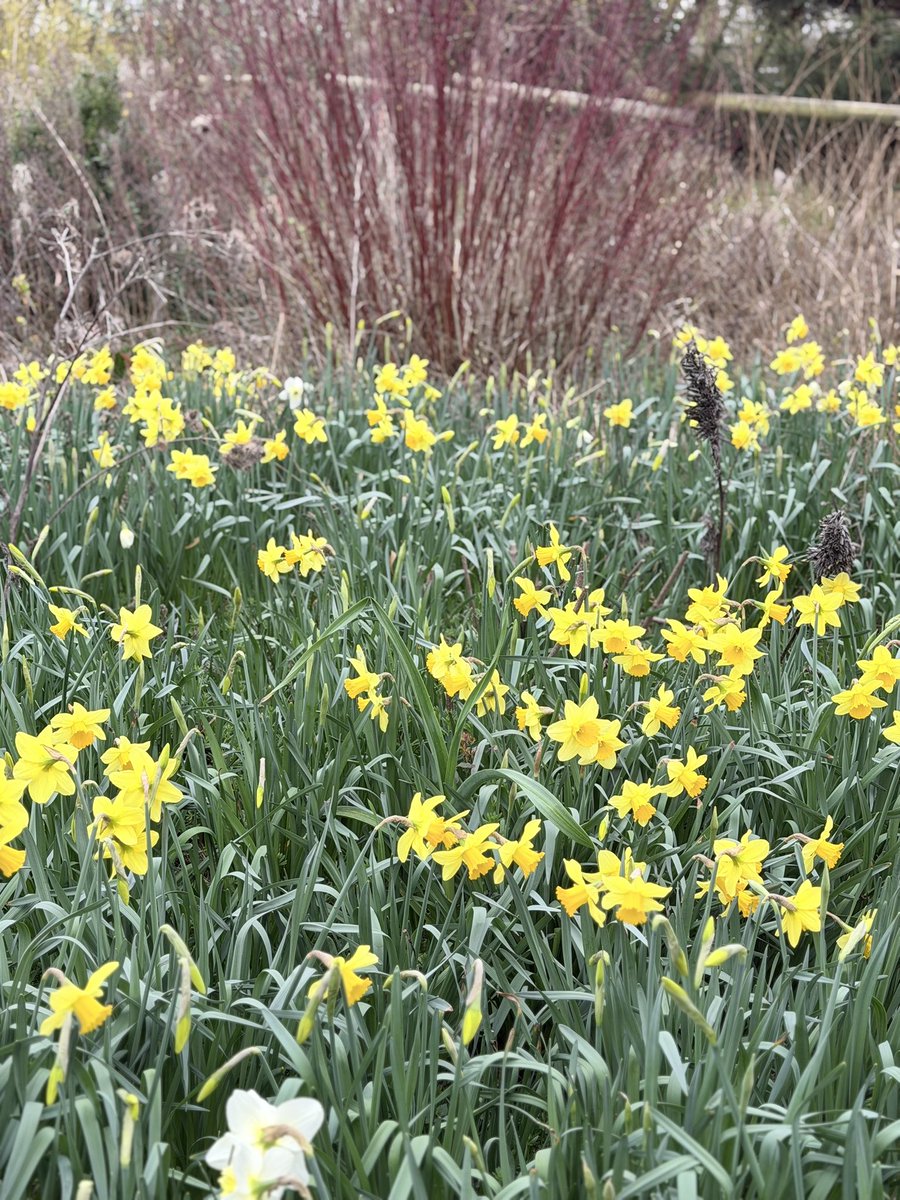 Jonathan Sheppard tweet media