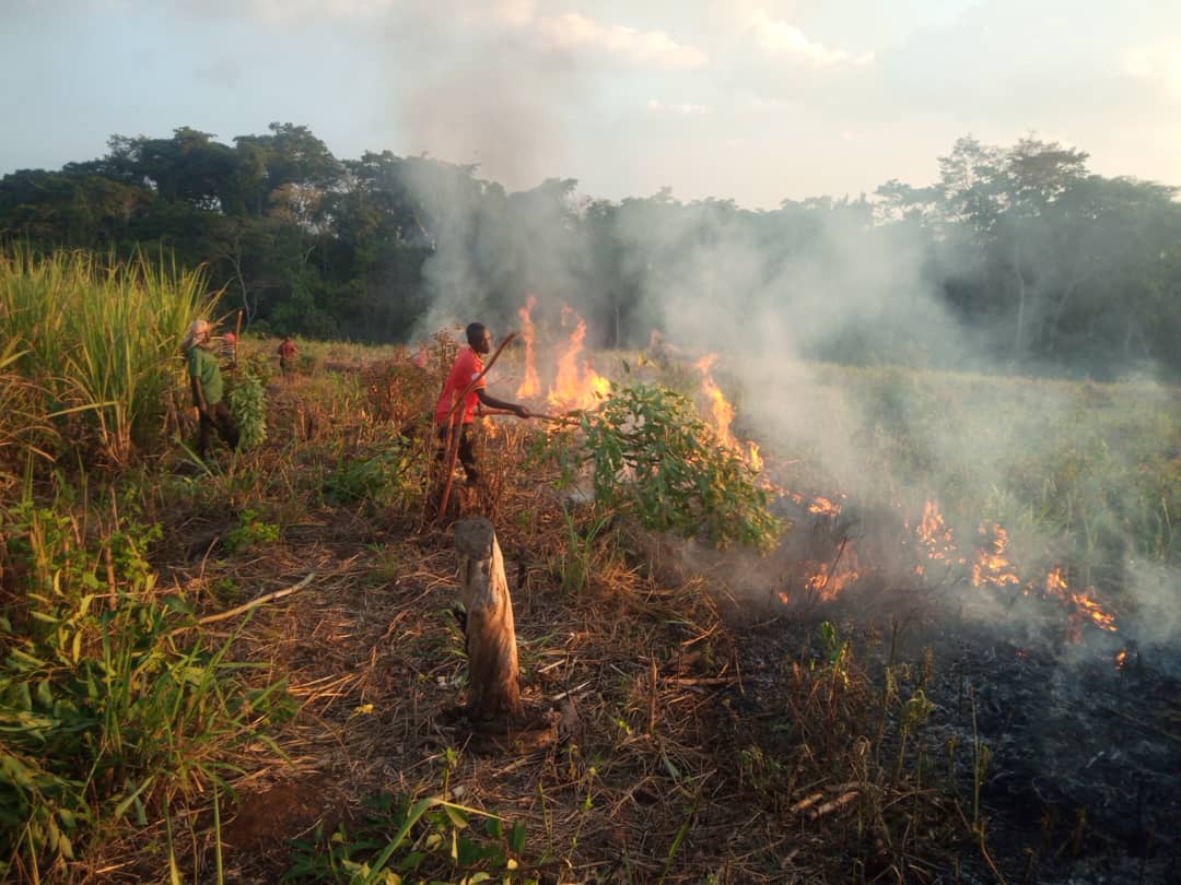 MapRI Initiative Uganda tweet media