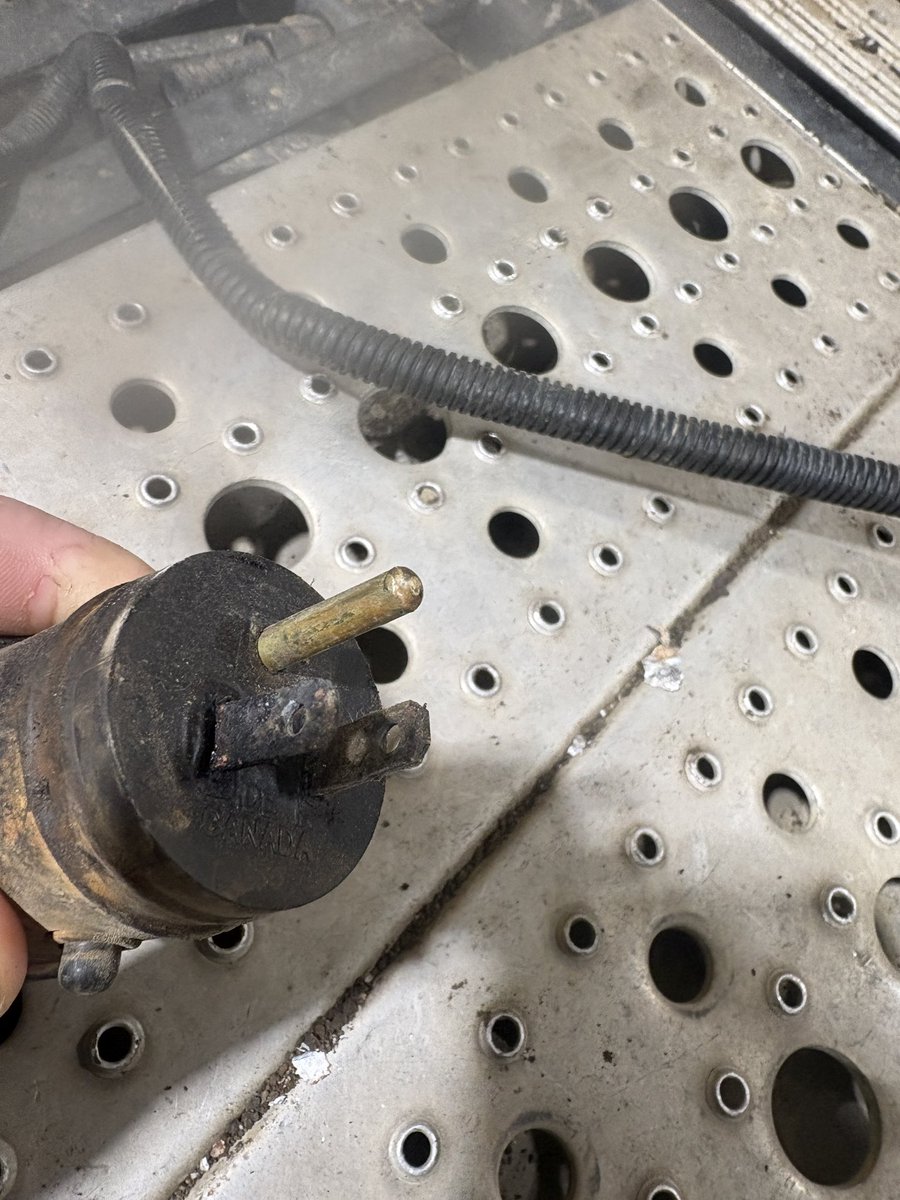 David Hamilton tweet media