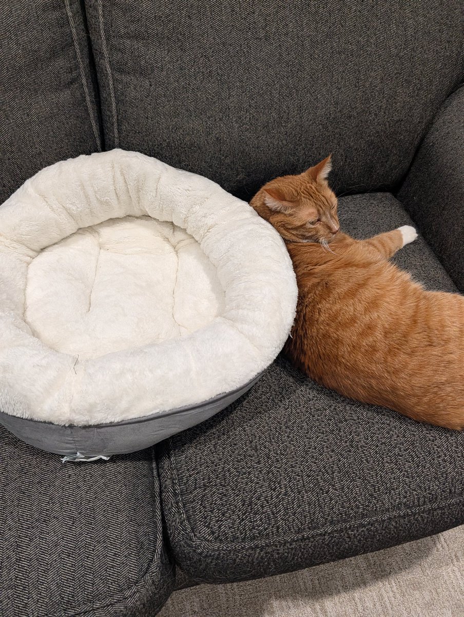 Nebraskangooner tweet media