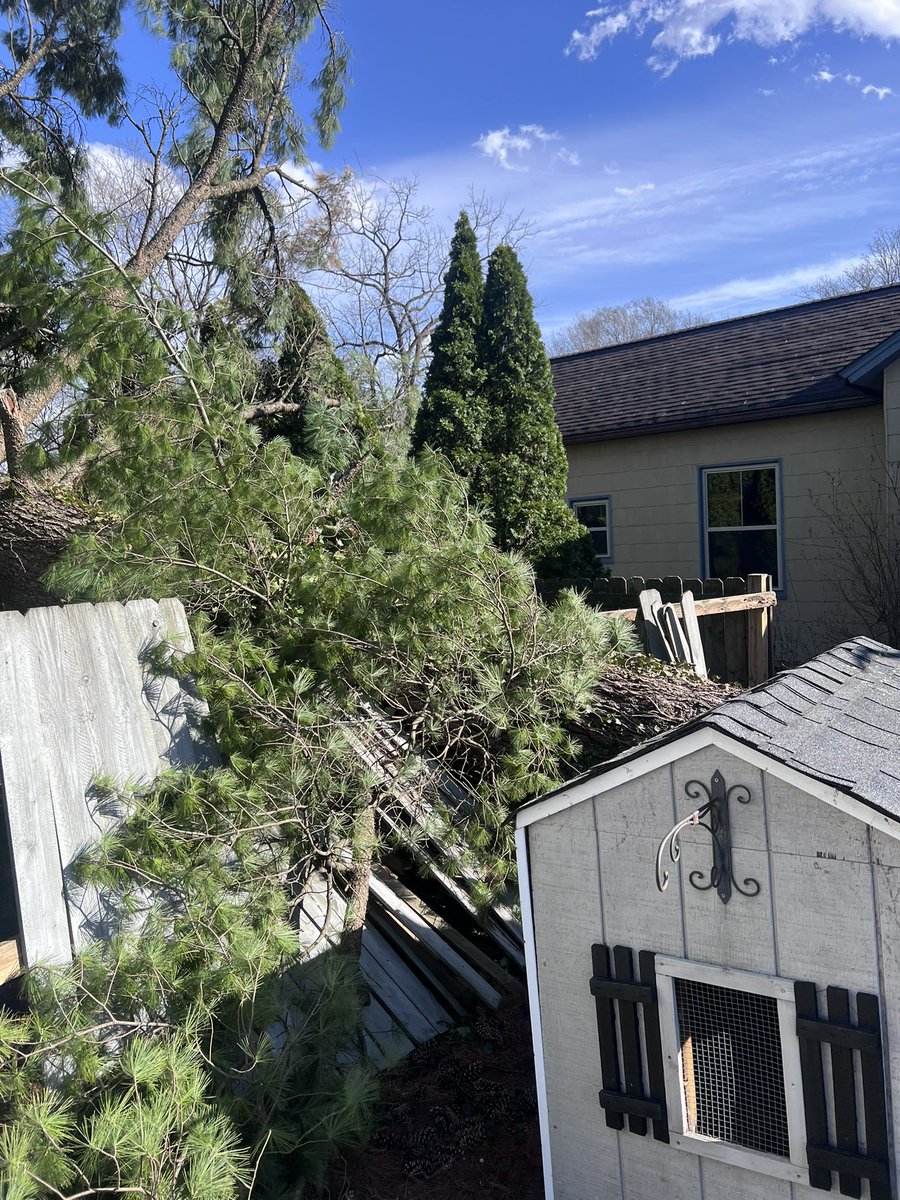 Mia Perfect 😐 tweet media