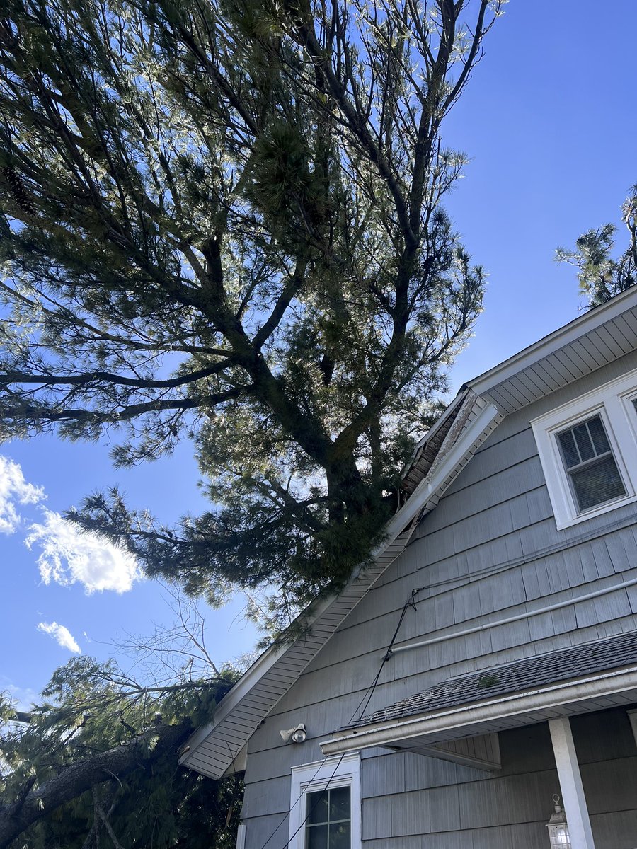 Mia Perfect 😐 tweet media