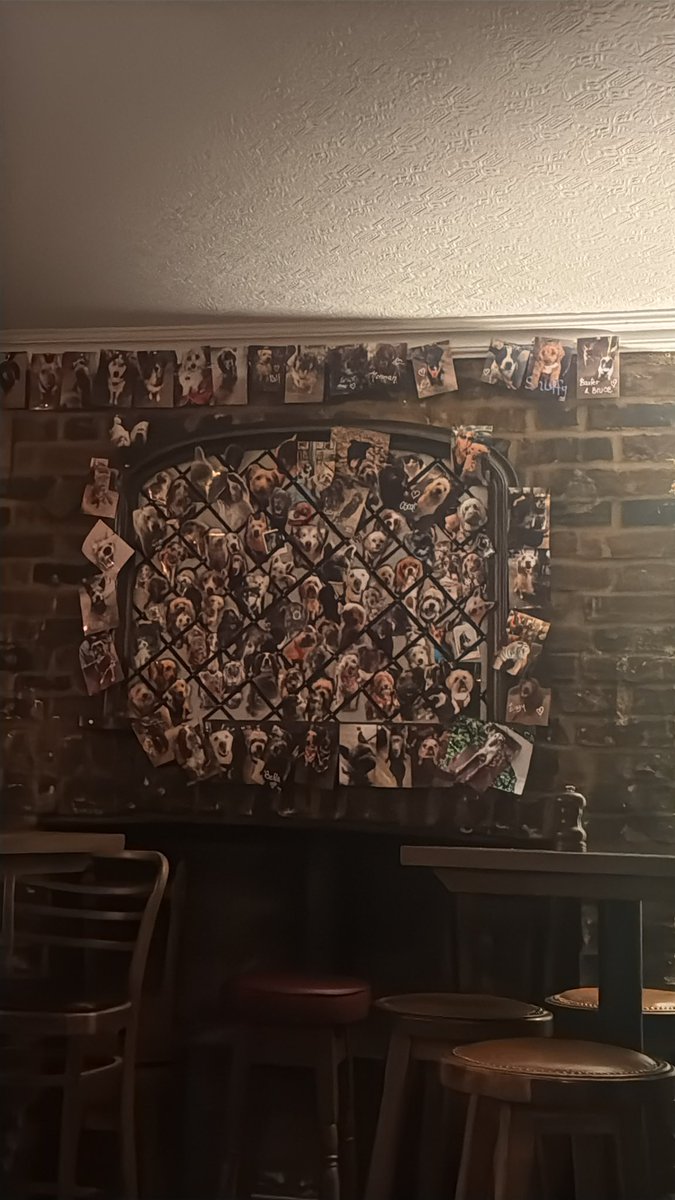 Fifi Tsamados tweet media