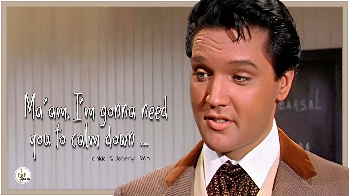 Elizabeth Macpherson tweet media