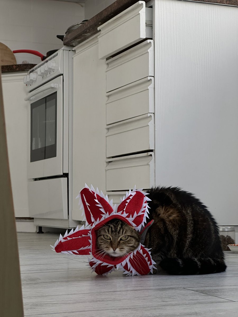 needsomesleep! tweet media