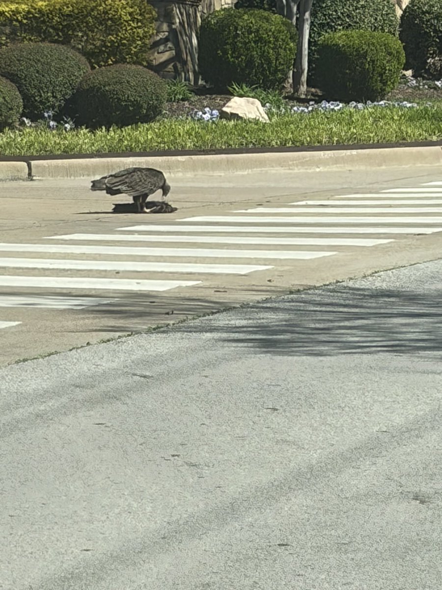 Stu Burguiere tweet media