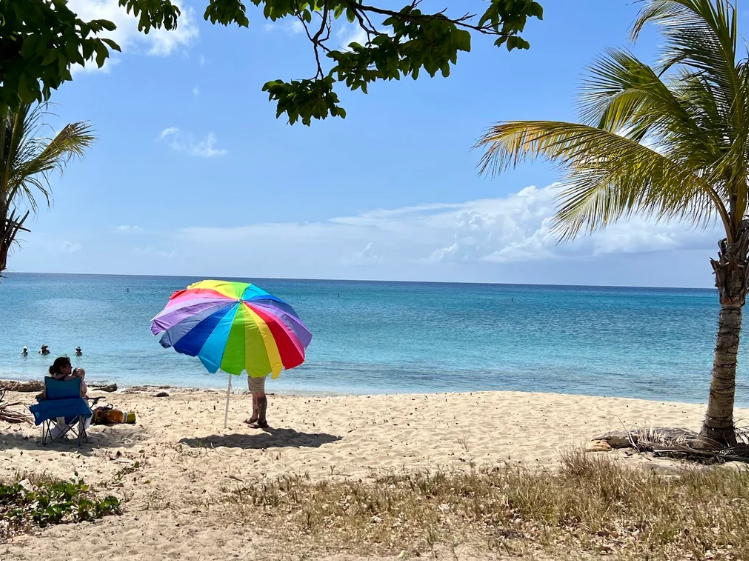 EducatedGuest93's tweet image. FREDERIKSTED: A rare 'Clean Sweep' for St. Croix. 🌊✨

The Big Island is officially SAFE for swimming and fishing! While the pier smells like a landfill, the water is pure Caribbean crystal. 💎🏊‍♂️

Read stcroixsun.news/st-croix-sun/d…: 

#stcroix #USVI #BeachAdvisory  #StCroixSun #STX