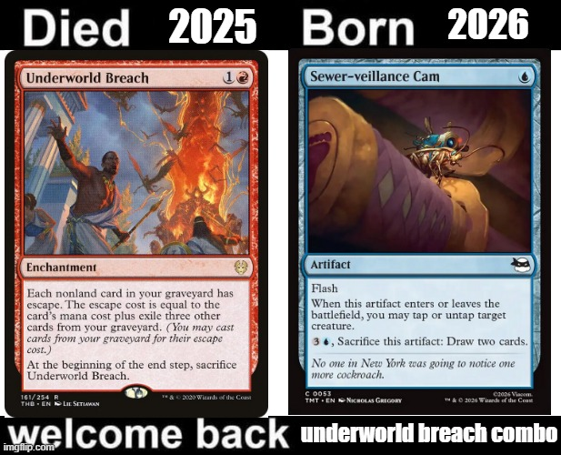 Nathan Goldberg tweet media