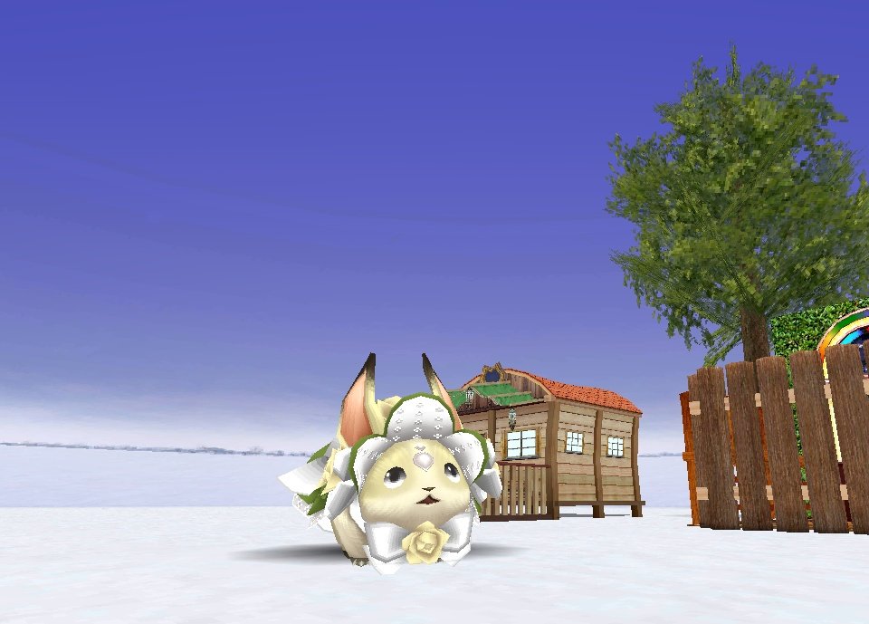 Artopompom's tweet photo. 新しいおペットですわ。よろしくなのである(´◕ω◕) https://t.co/BiLsz3tHmj