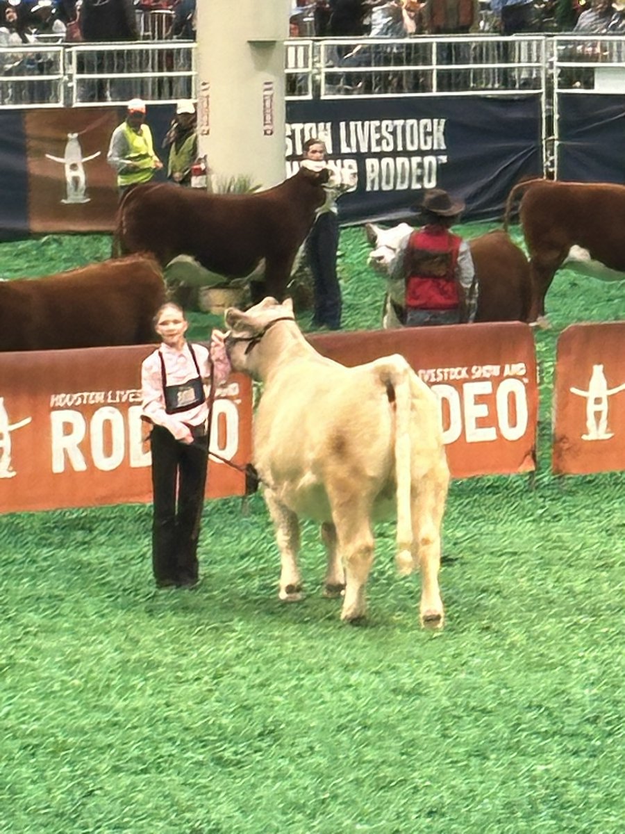 Spring FFA tweet media