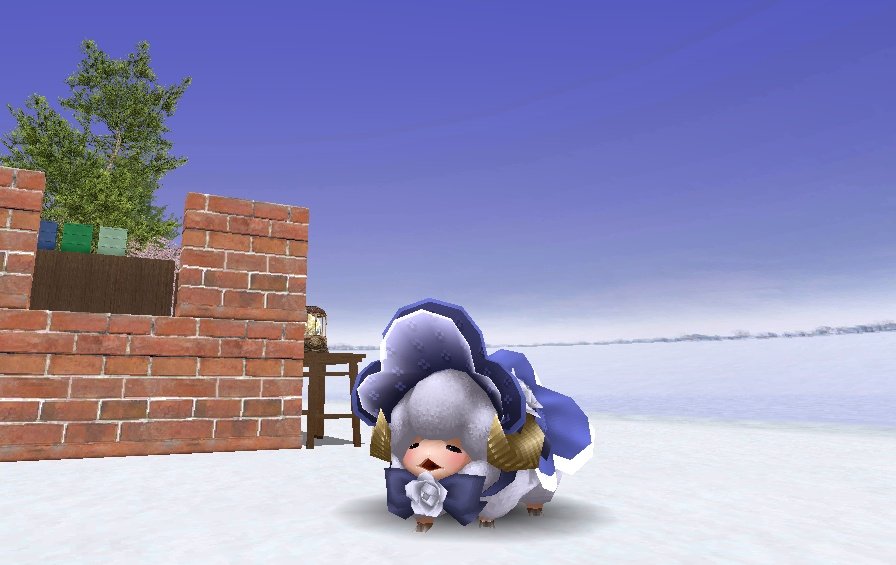 Artopompom's tweet photo. 新しいおペットですわ。よろしくなのである(´◕ω◕) https://t.co/BiLsz3tHmj