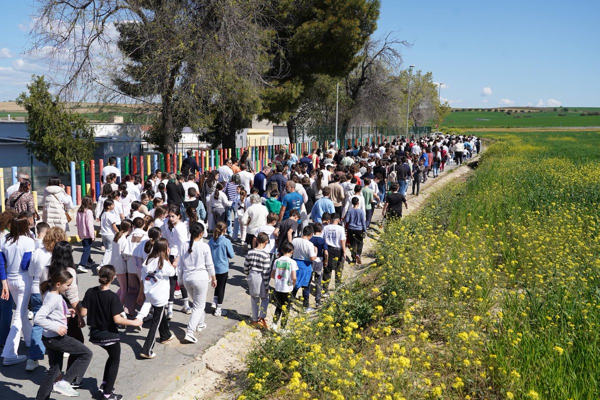 CEIP Francisco Alcalá tweet media