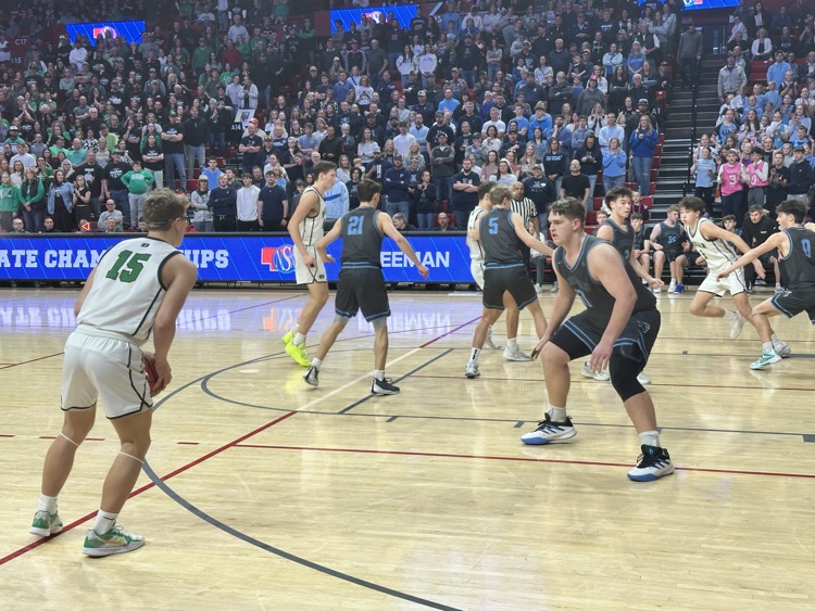 𝐅𝐫𝐞𝐞𝐦𝐚𝐧 𝐅𝐚𝐥𝐜𝐨𝐧𝐬 tweet media