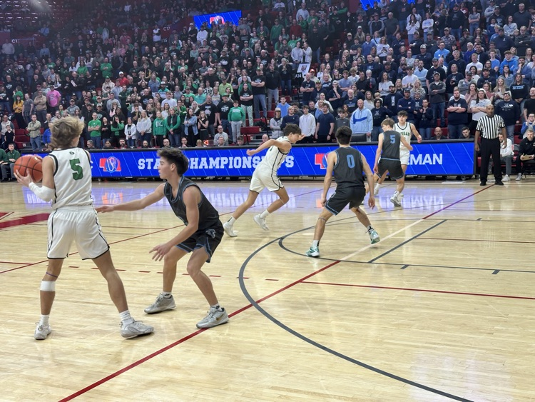 𝐅𝐫𝐞𝐞𝐦𝐚𝐧 𝐅𝐚𝐥𝐜𝐨𝐧𝐬 tweet media