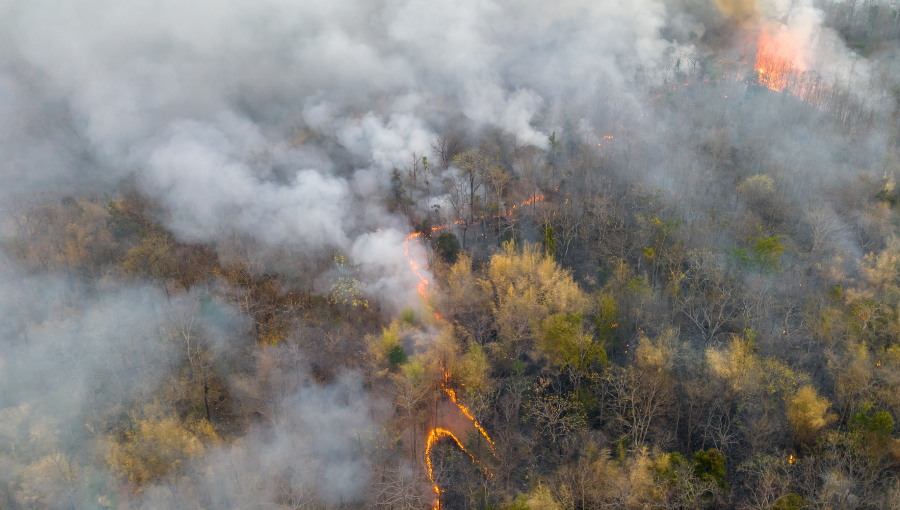 American Property Casualty Insurance Association tweet media