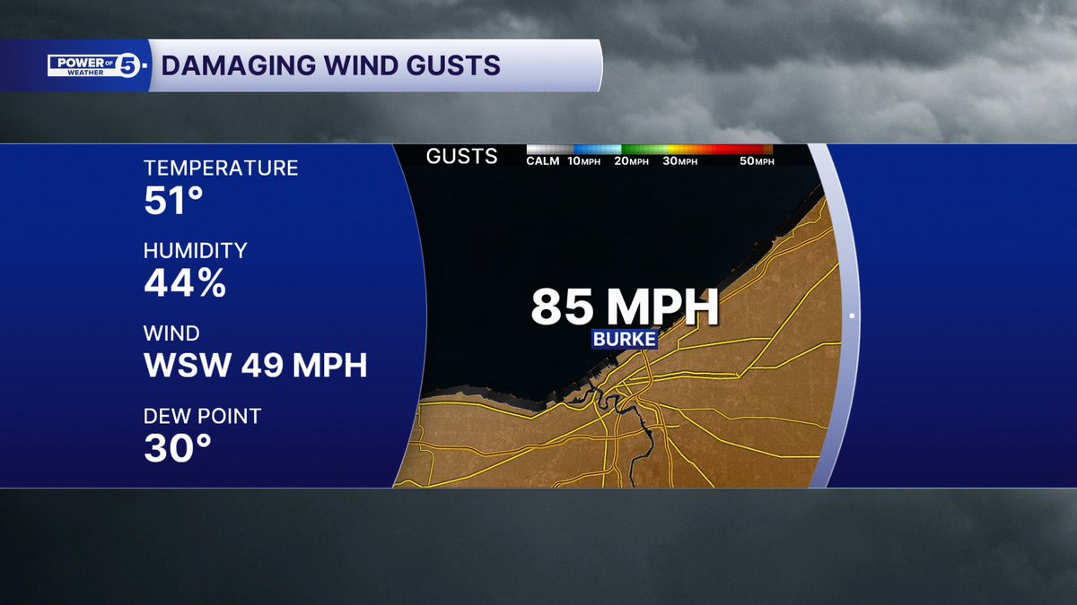 Allan Nosoff tweet media