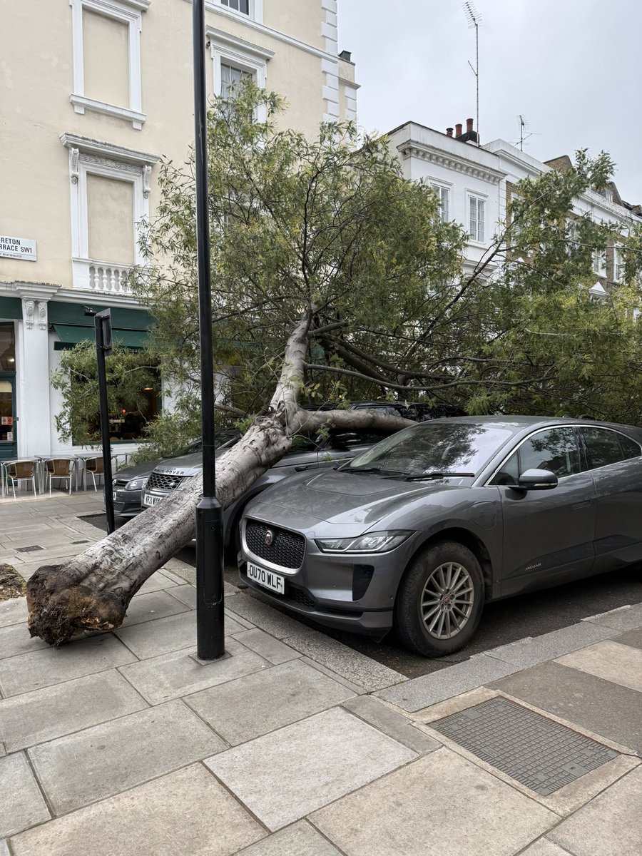 Vanessa O'Brien tweet media