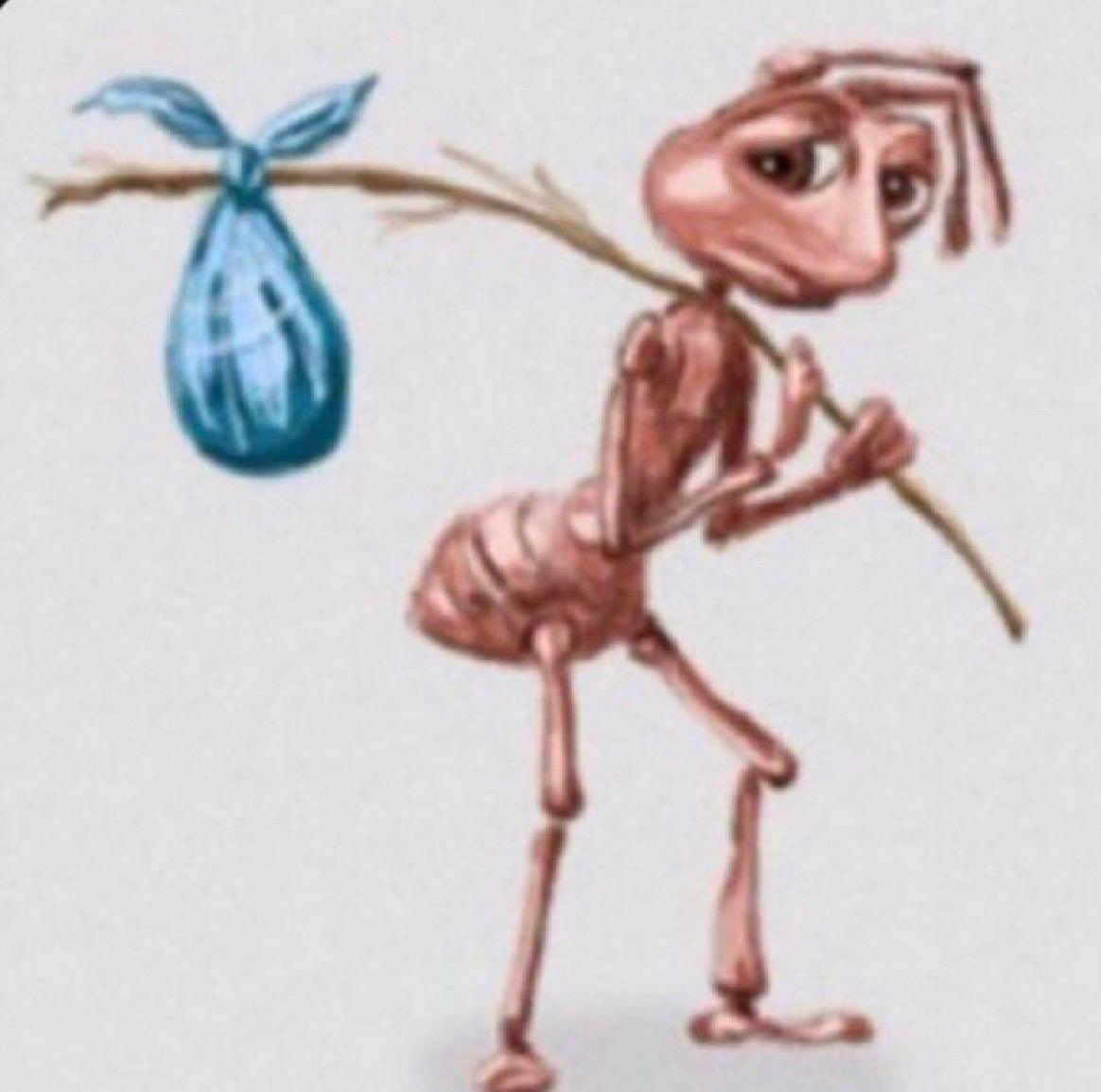 do brazilll (1m98) tweet media