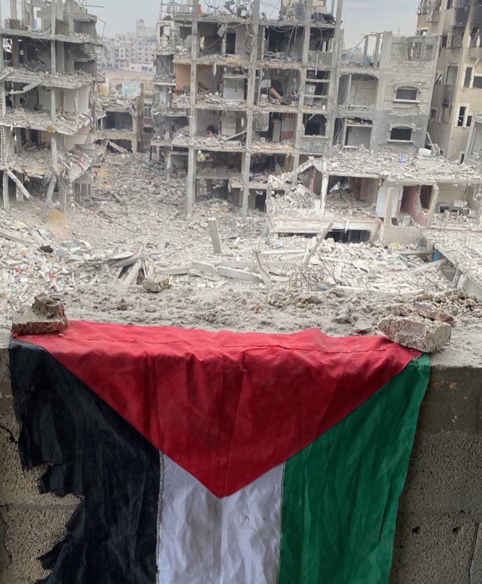 Dr. Yousef 🇵🇸 tweet media