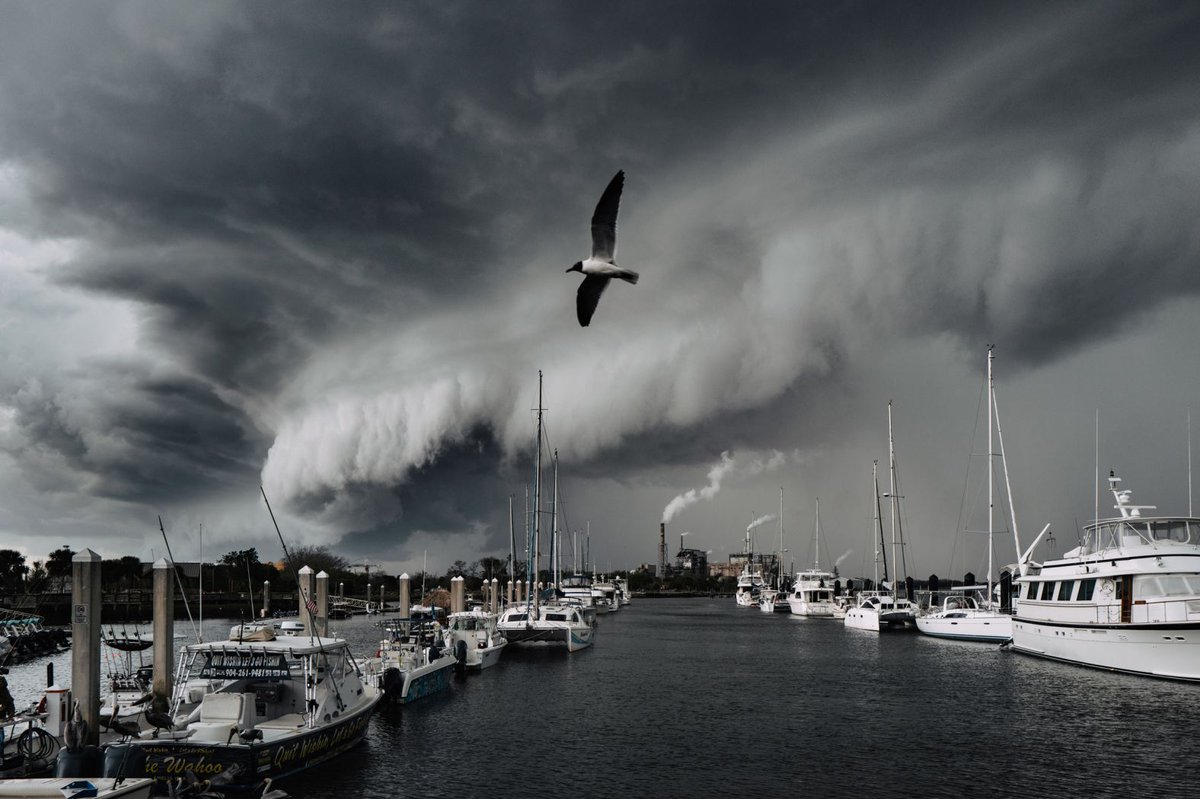 CNN Photos tweet media