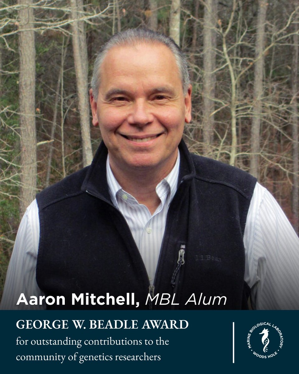 Marine Biological Laboratory (MBL) tweet media