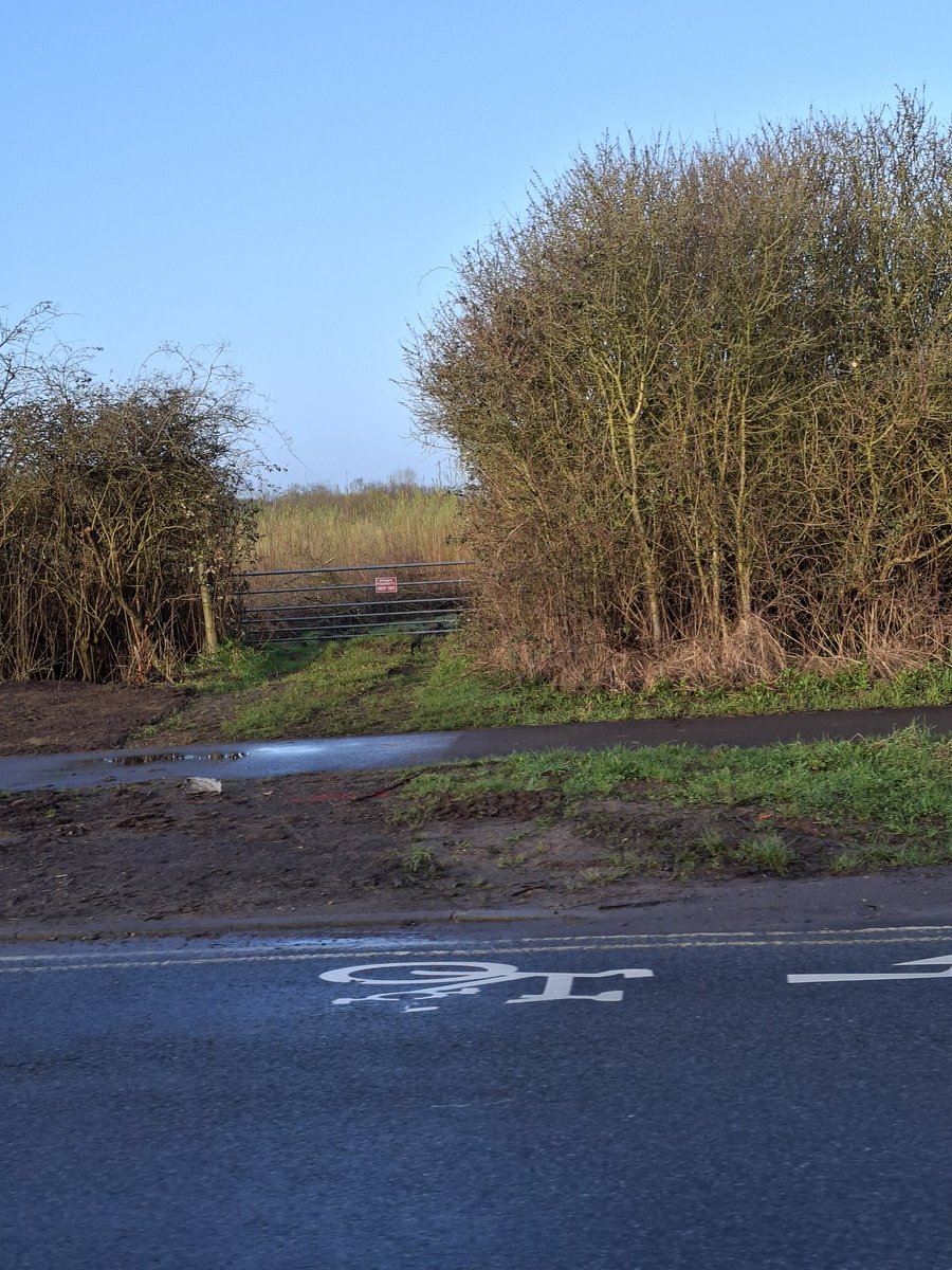 HasTheStadiumBeenBuiltYet tweet media