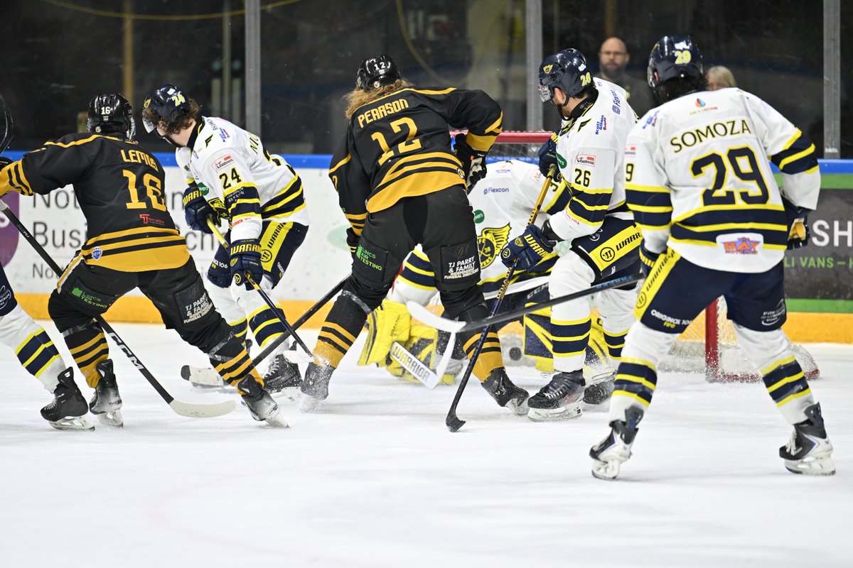 Panthers Images tweet media