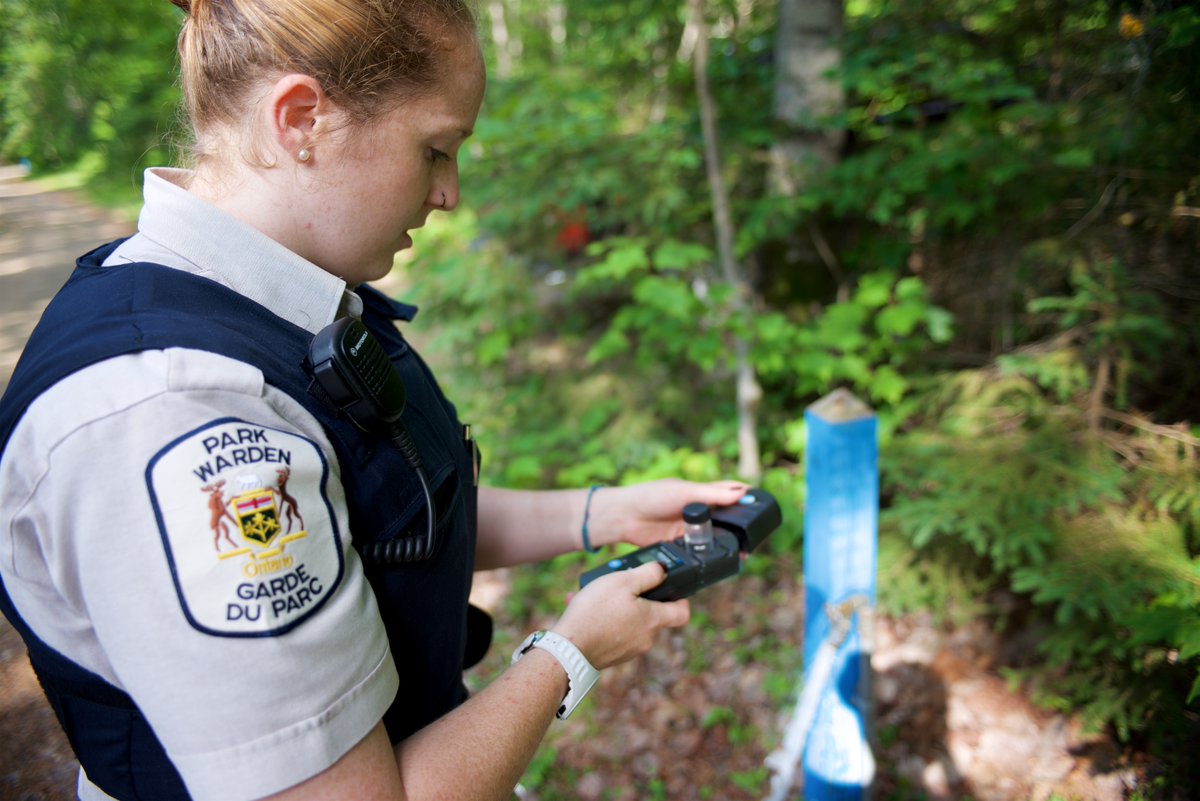 Algonquin Provincial Park tweet media