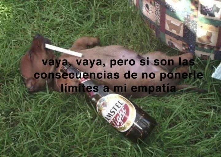 Nasty Poet tweet media