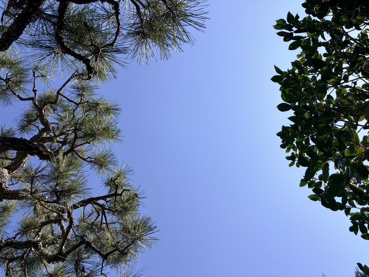 鎌田恭幸 tweet media