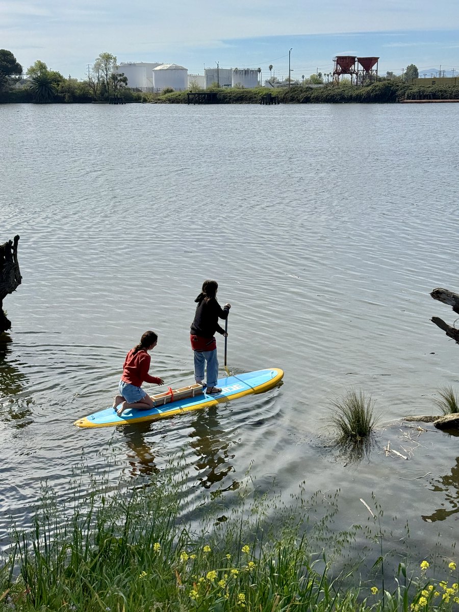 Restore the Delta tweet media