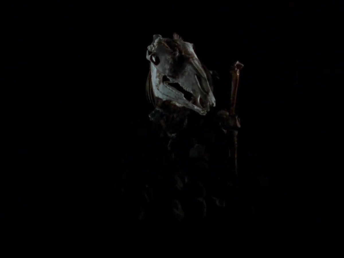 Jacob Calta tweet media