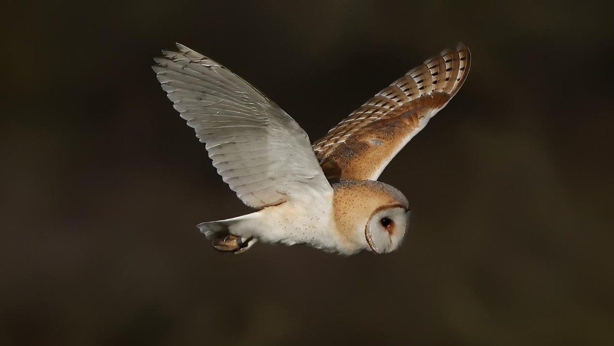 Mark fullerton tweet media