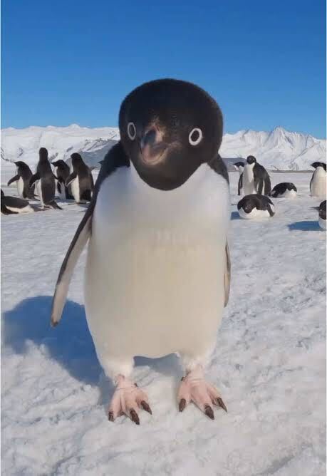 PlanetPlay tweet media