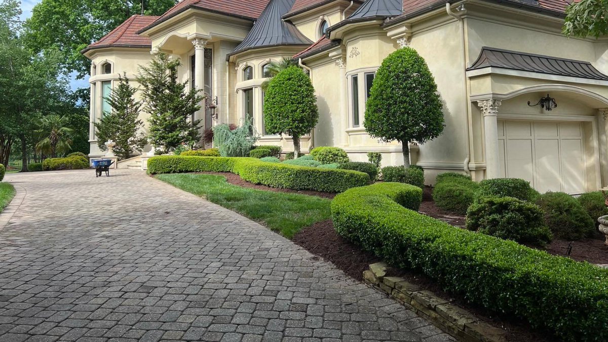 Carolina Turf Lawn and Landscape tweet media