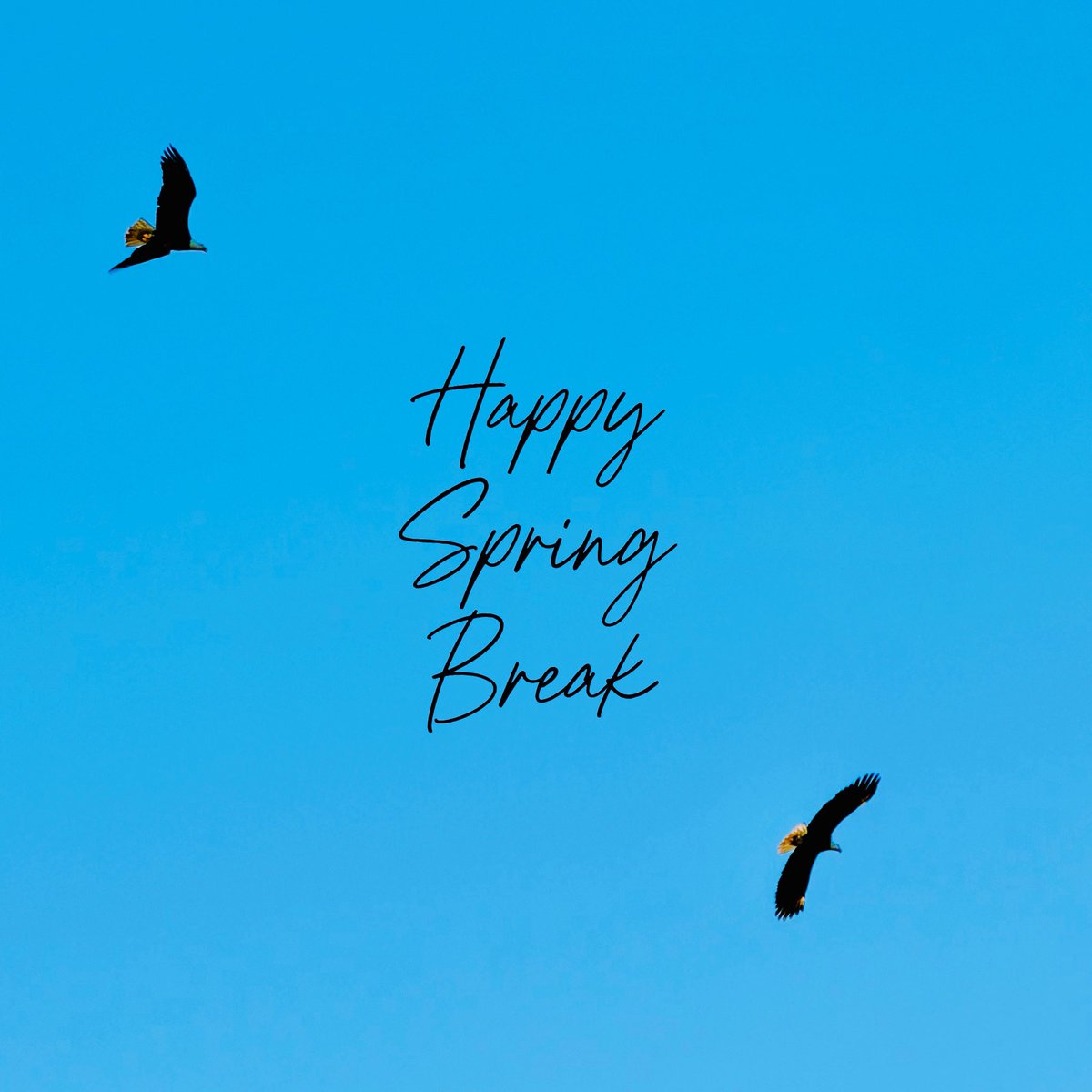 Vijay Manuel tweet media