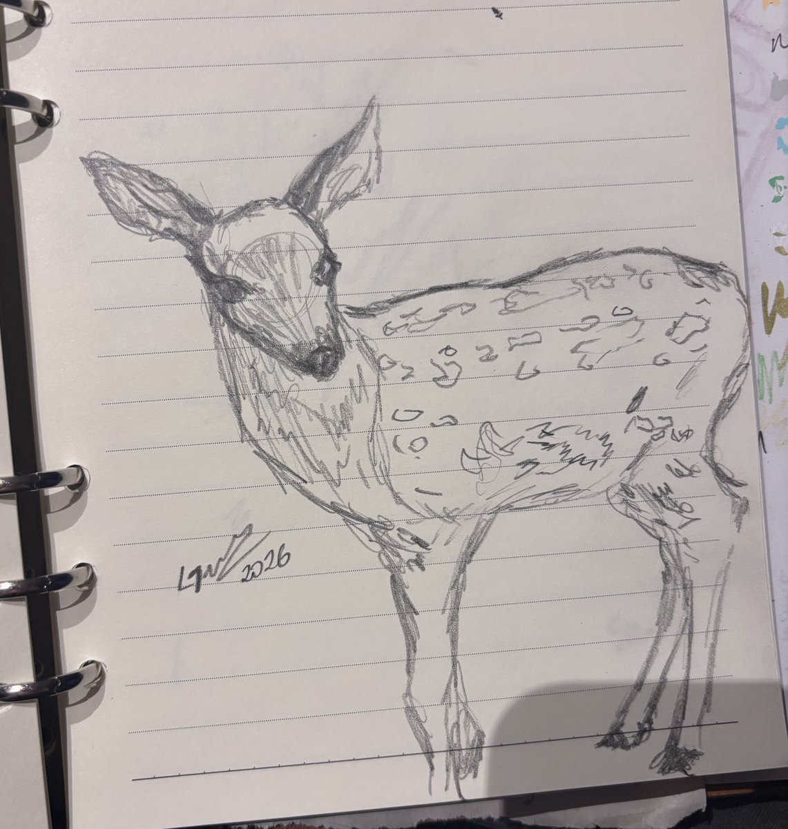 ⋆ ˚。⋆ ४ emi ౨ৎ˚ ⊹܀˙ tweet media