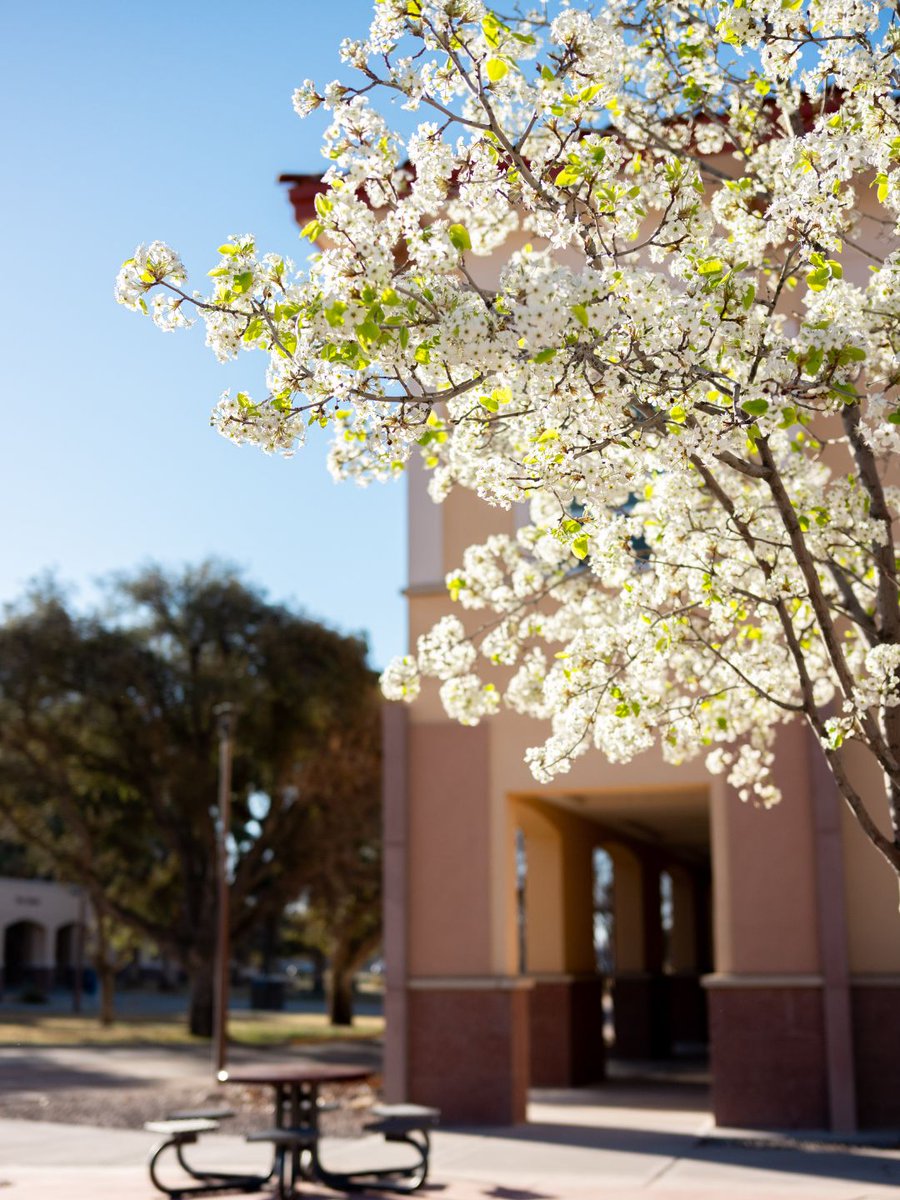 New Mexico State tweet media