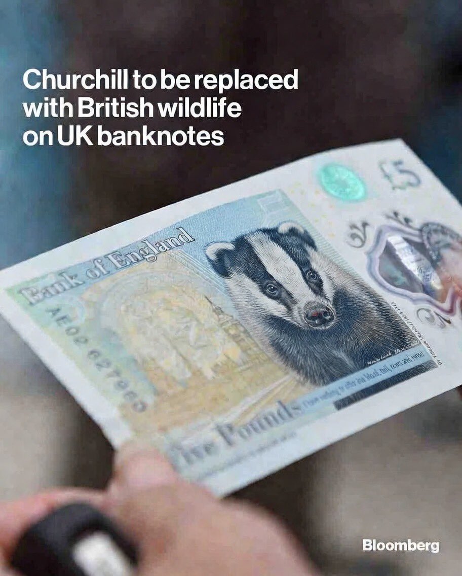 BoneScruffy tweet media