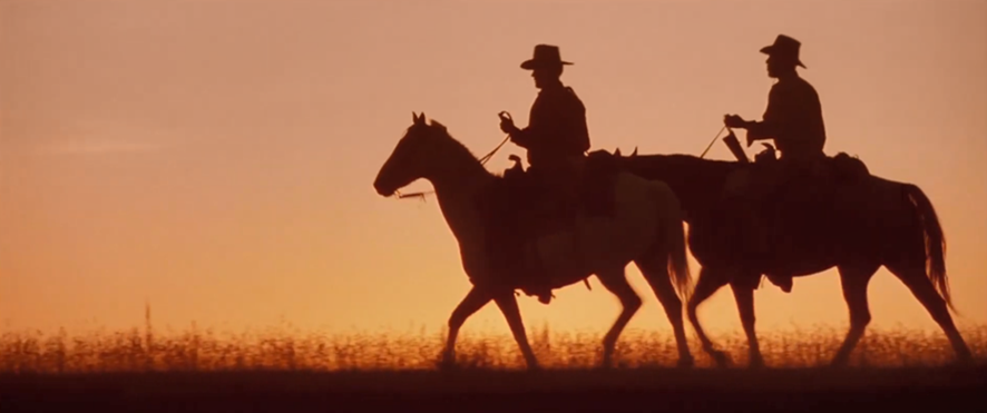 cinesthetic. tweet media