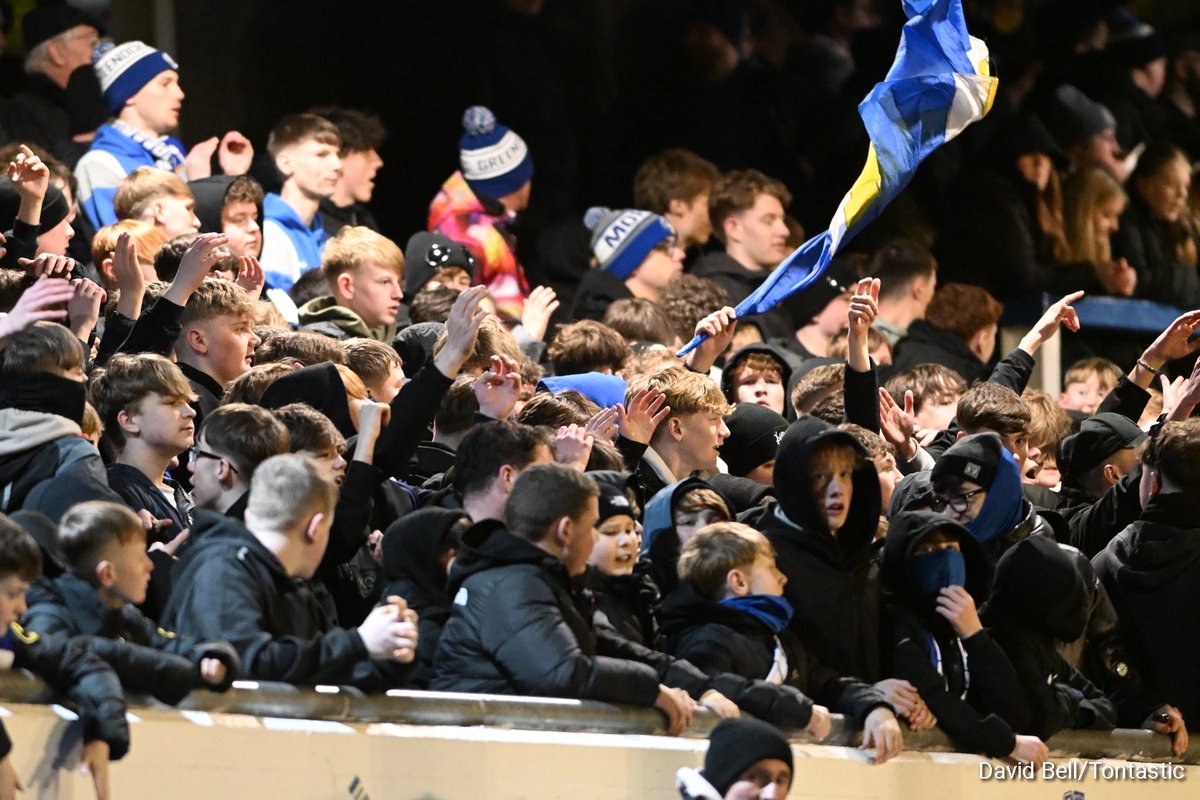 David Bell tweet media