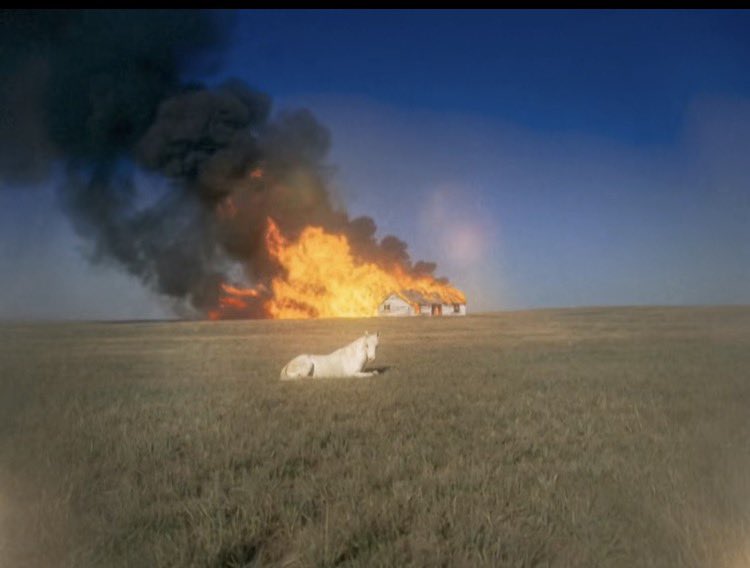 After a hurricane comes a rainbow