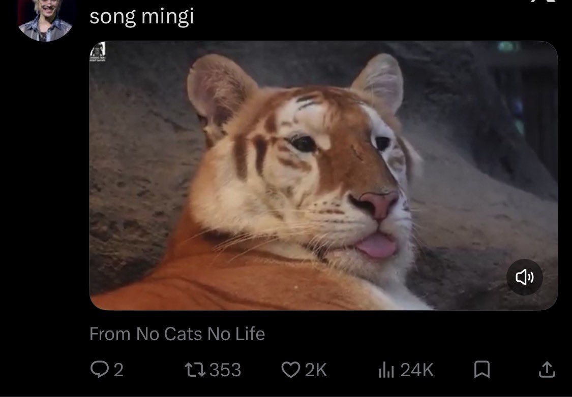 divvy 🧸🌷🐝 tweet media