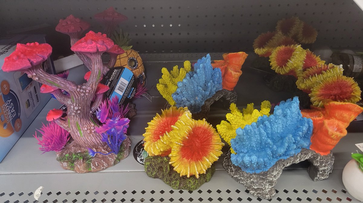 Kya, the God Empress of Mankind tweet media