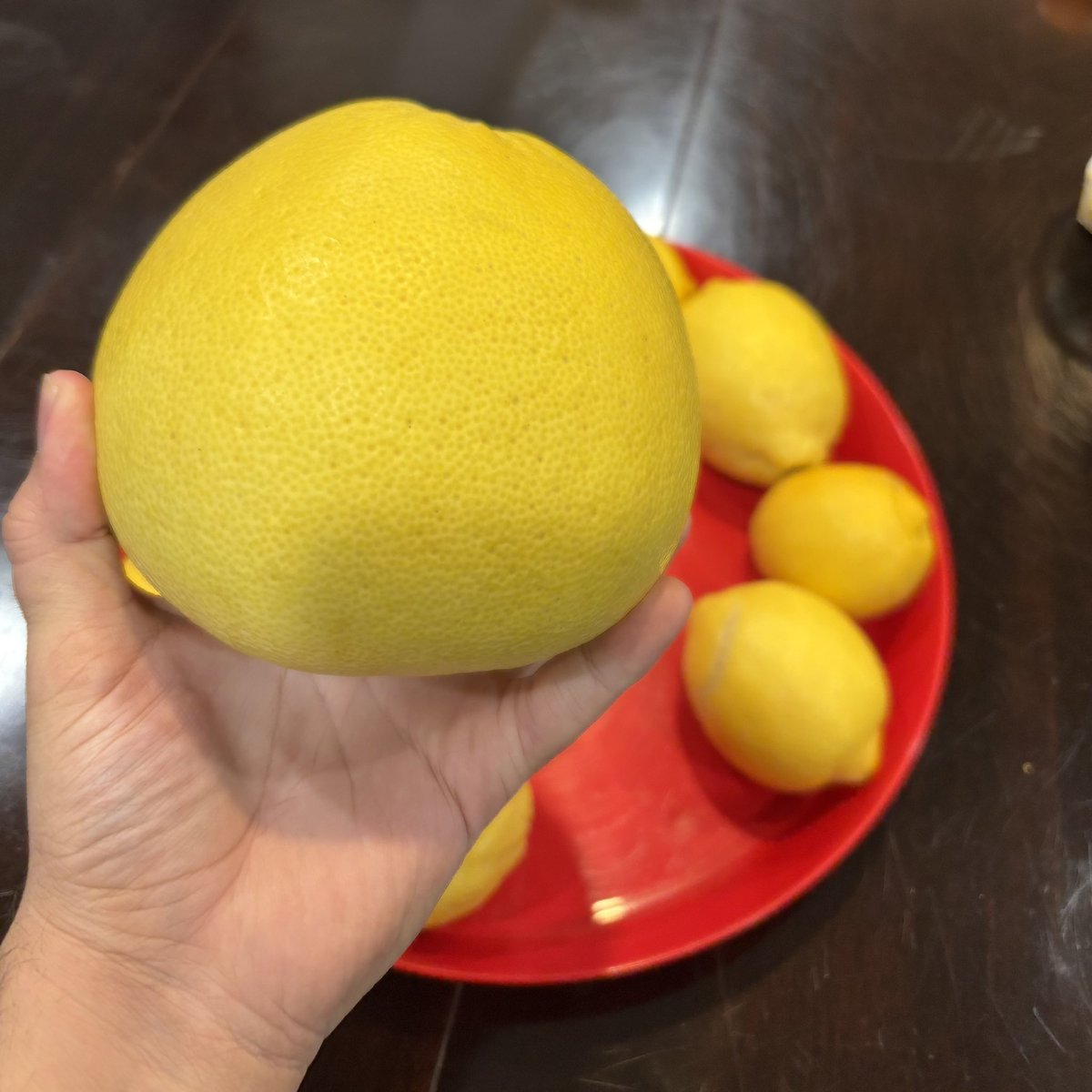 Dr Pupper 🐶🦴 tweet media