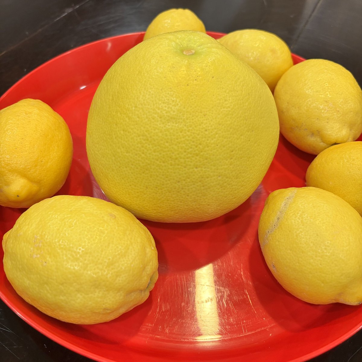 Dr Pupper 🐶🦴 tweet media