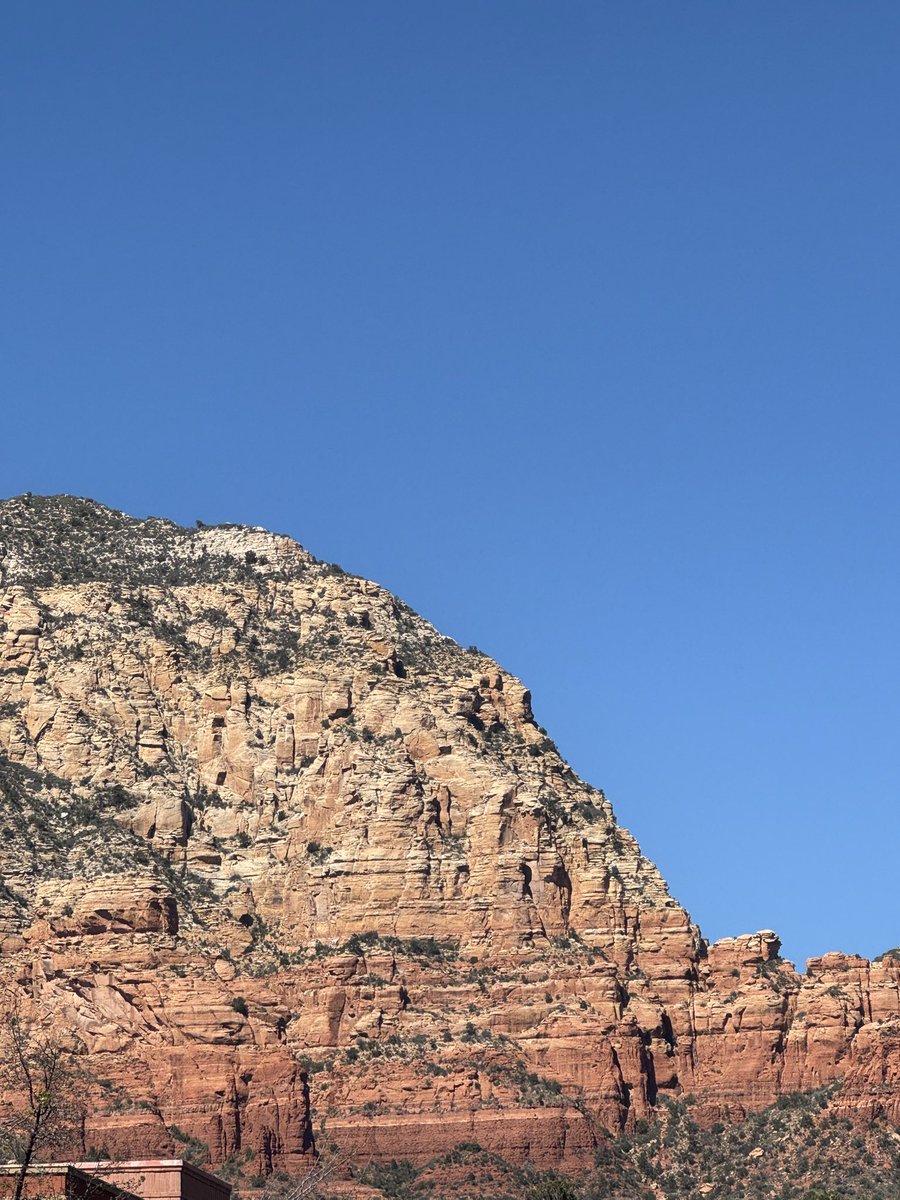 emma ☆ tweet media