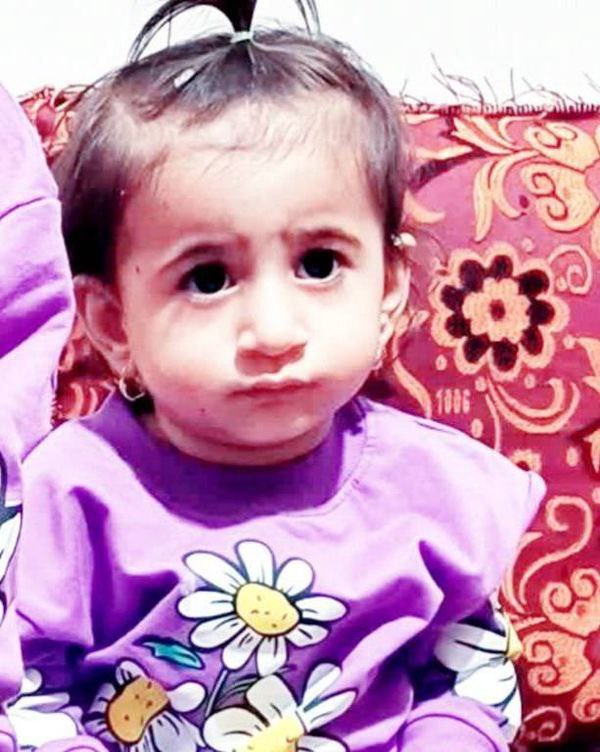 sahouraxo's tweet photo. Trump and Israel killed Elmah today in Khuzestan, Iran.

She was only 3 years old. https://t.co/g7oqsjSply