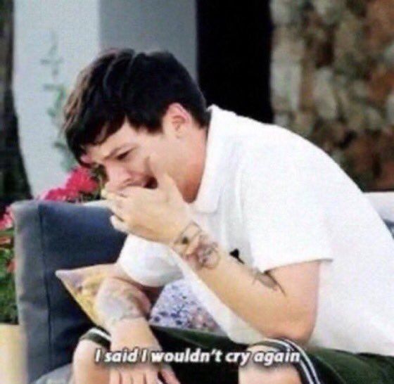 If1DCouldFlyy's tweet photo. @Louis_Tomlinson louis thinking about seeing us very soon on tour 🥲 https://t.co/4cSbJpCWE5